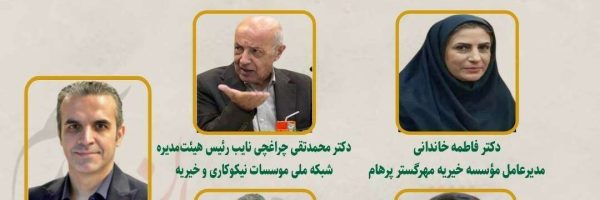 Social Activism in Crisis and War Gabric Presence in the NGO Virtual Consultation Meeting