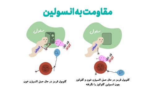 مقاومت به انسولین چیست؟ علت‌ها، علائم و راه‌های درمان مؤثر