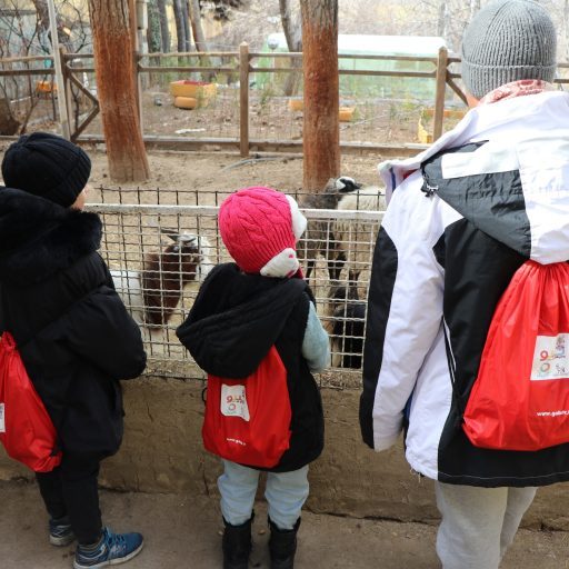 اردوی تفریحی و آموزشی کودکان دیابتی