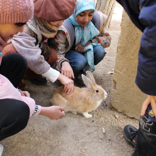 اردوی تفریحی و آموزشی کودکان دیابتی