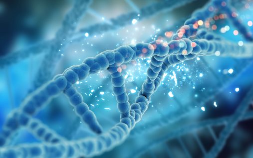 آیا دیابت نوع یک ارثی است؟ بررسی نقش ژنتیک و عوامل محیطی