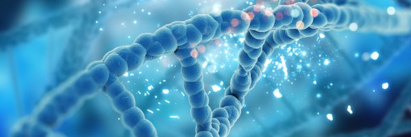 آیا دیابت نوع یک ارثی است؟ بررسی نقش ژنتیک و عوامل محیطی